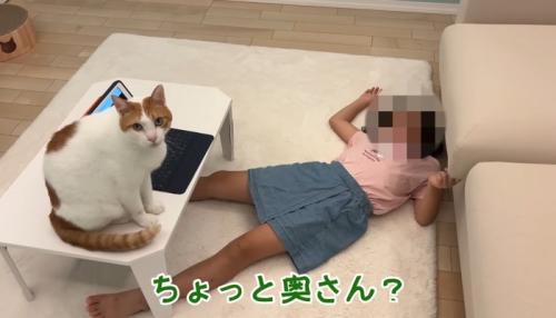 ちょっと奥さん？
