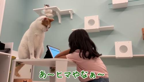 ヒマやなぁ〜