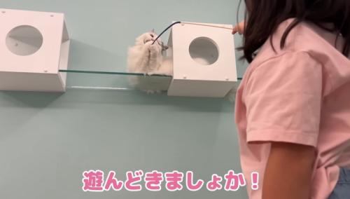 遊んどきましょか！