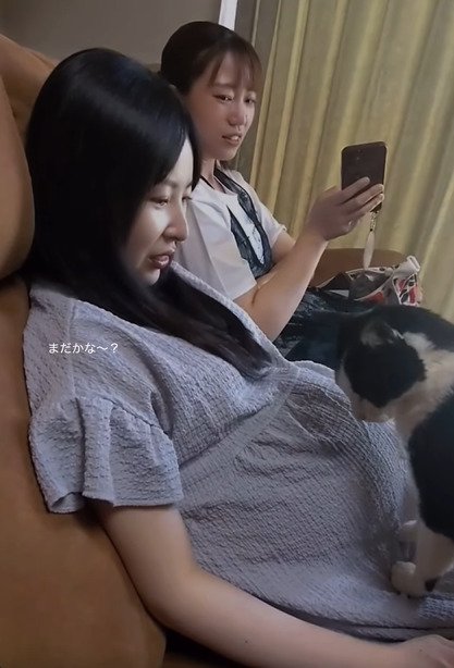 下を見る猫