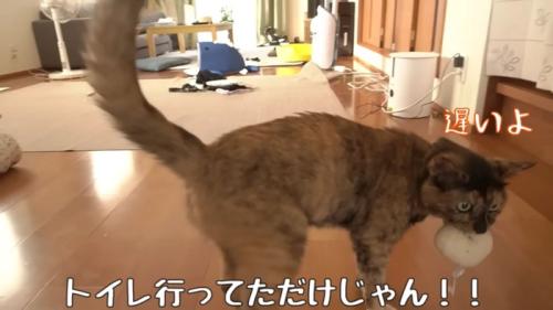 テロップ「トイレ行ってただけじゃん!!」
