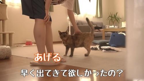 テロップ「早く出てきて欲しかったの?」
