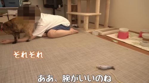 テロップ「ああ、腕がいいのね」