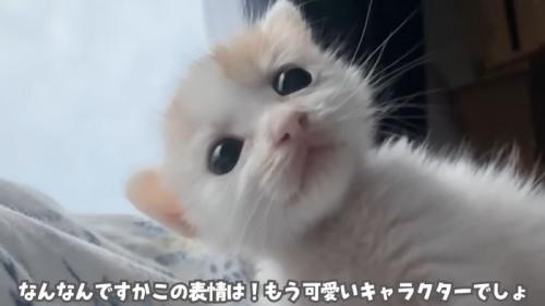 テロップ「なんなんですかこの表情は！」