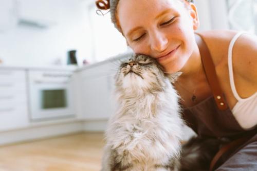 飼い主とラブラブな猫