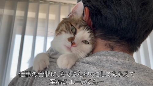 抱っこされる猫