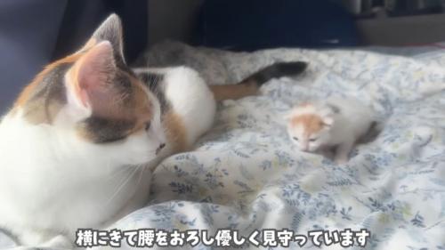 テロップ「横にきて～」