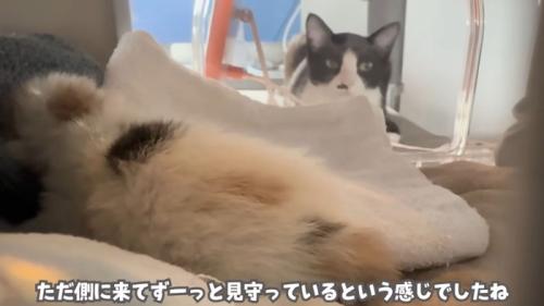 テロップ「ただ側に来て～」