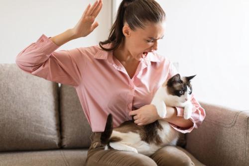 手を挙げられている女性と猫