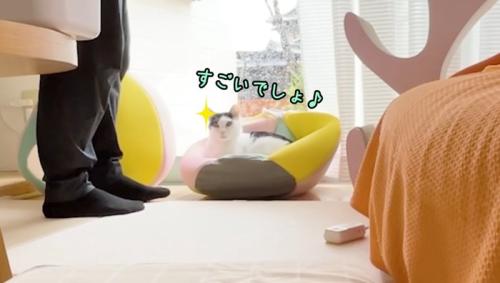 すごいでしょ