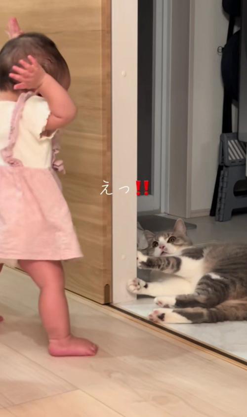 立ち上がる猫と見ている赤ちゃん