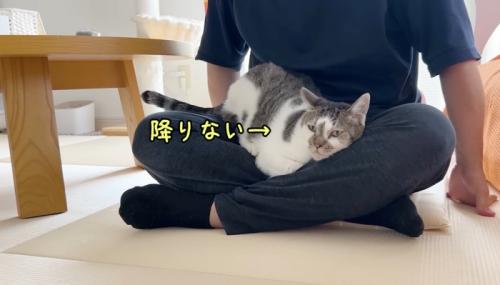 降りない