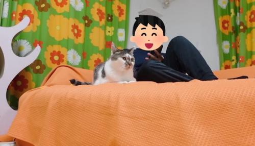 ソファの上