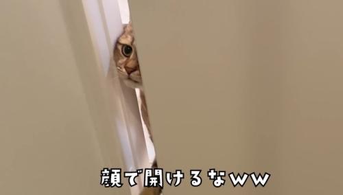 顔で開けるな(少し覗いて)