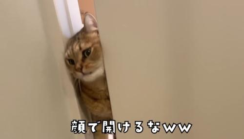 顔で開けるな(顔が出そうに)