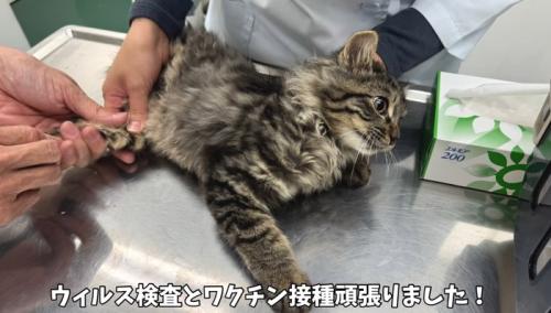 診察中