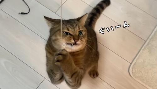 ぐいーん