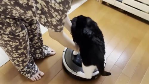 ルンバの上に着地