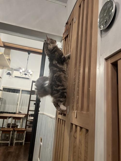 やんちゃな姿