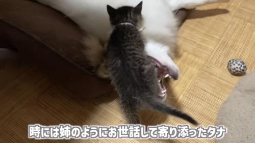 「時には...」のテロップ写真