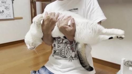 腕の中で伸びる猫ちゃん