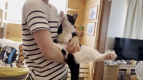 ママさん(ボーダーTシャツ)に抱かれる猫ちゃん