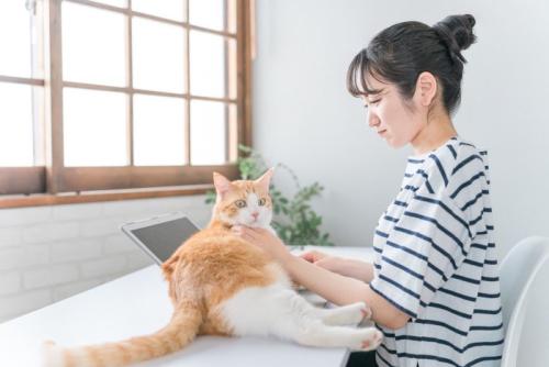 猫を撫でる女性