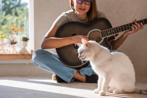 ギターを弾く女性と聴く猫