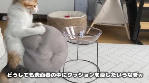 どうしても