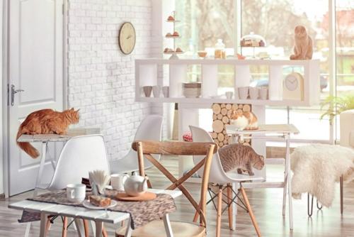 猫カフェの店内