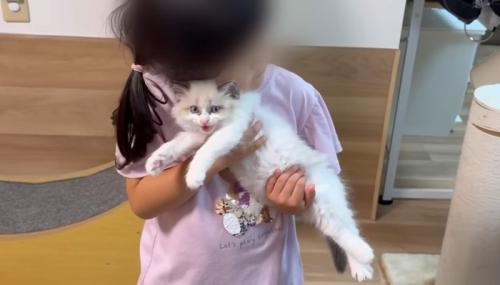 顔をスリスリ