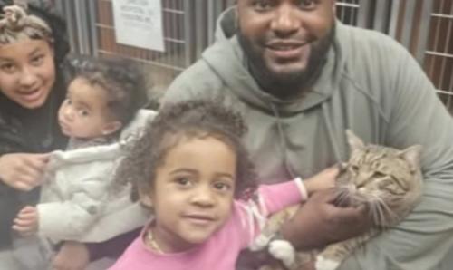 エリザベスカラーをした猫