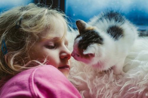 少女に鼻チューする猫