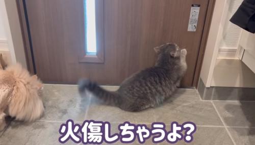 火傷しちゃうよ？