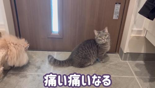 痛い痛いなる
