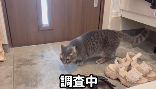 調査中