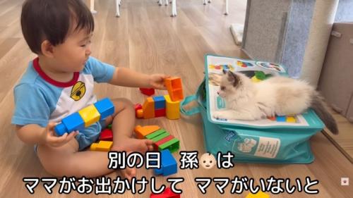 テロップ「別の日 孫は～」