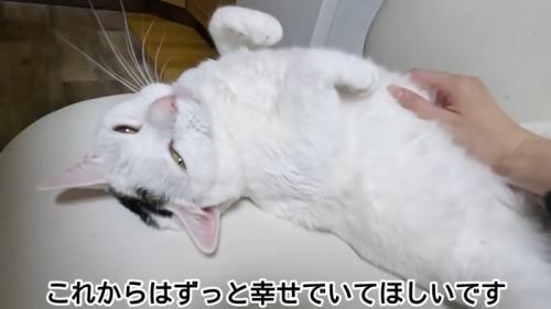 テロップ「これからはずっと～」