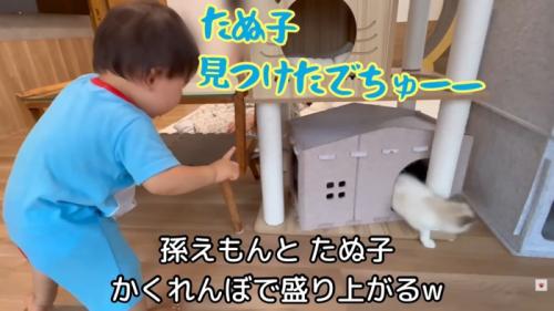 テロップ「孫えもんとたぬ子～」