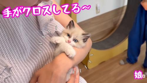 テロップ「手がクロスしてる～」