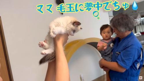 テロップ「ママ毛玉に～」