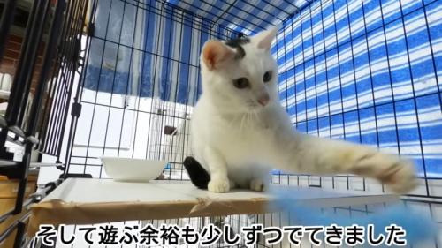 テロップ「そして遊ぶ余裕も～」