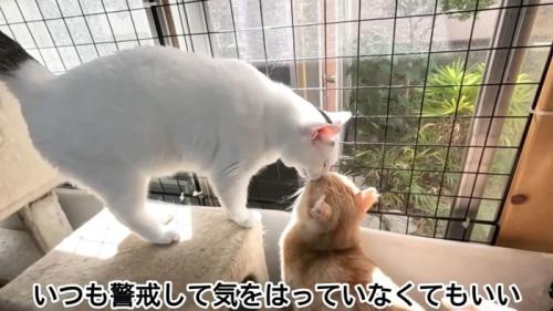 テロップ「いつも警戒して～」