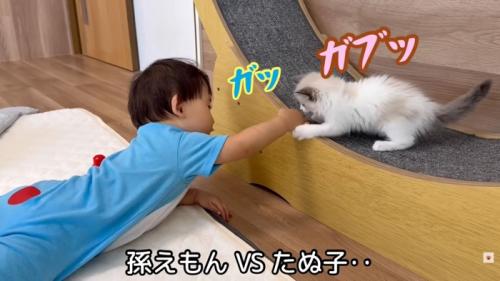 テロップ「孫えもんVS～」