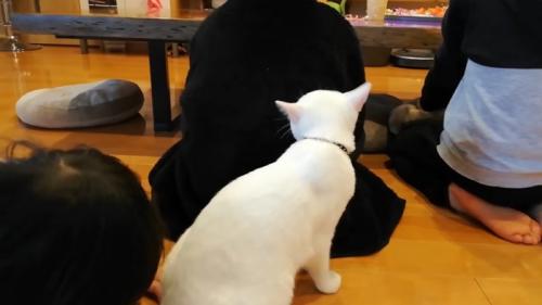 後ろに回って