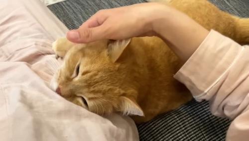 目を細めて
