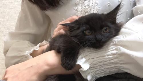 腕に抱かれるベニちゃん