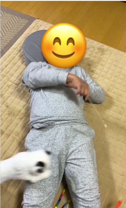 仰向けで寝ている人と猫じゃらしを追いかけている猫