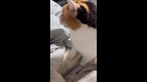 体の上に座って