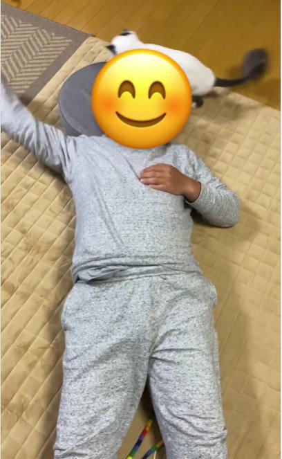 仰向けで寝ている人と猫じゃらしを追いかけている猫